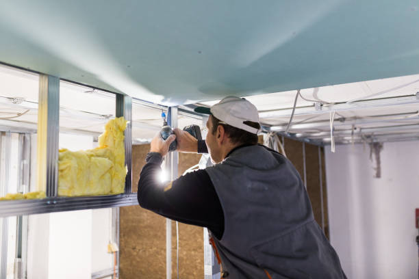 Insulation Repair Services in Milford, IA