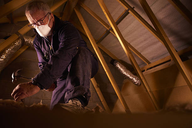 Best Crawl Space Insulation  in Milford, IA